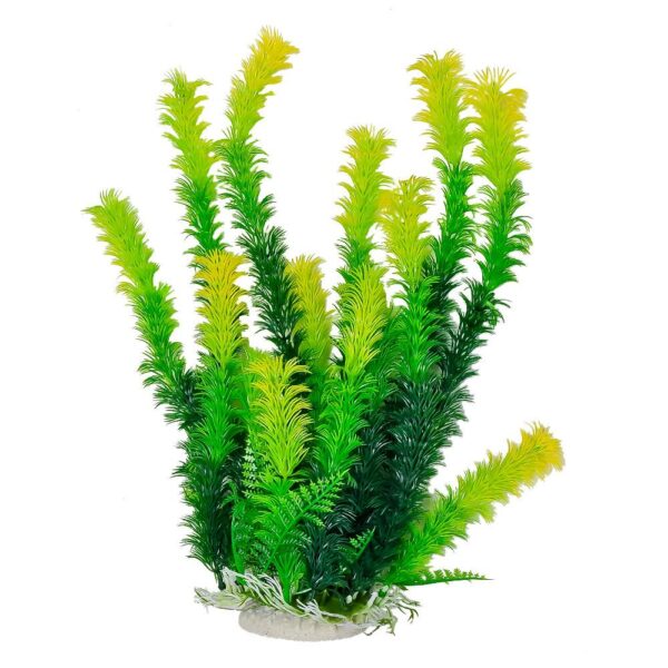 Green Plant, Light Yellow Tips 20" w/weighted base Bag & Header