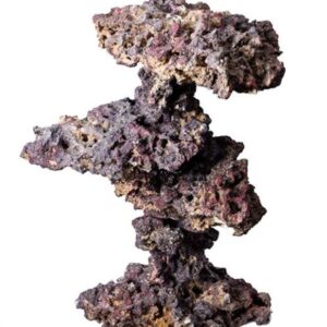 CaribSea LifeRock Coral Tree Kit