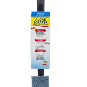 API Algae Scraper for Glass, XL