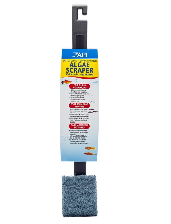 API Algae Scraper for Glass, XL