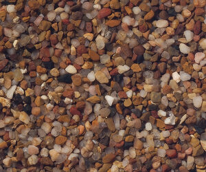 API Bottom Feeder Shrimp Pellets 1.3oz