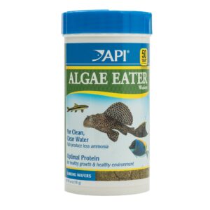 API Algae Eater Wafers 6.4oz