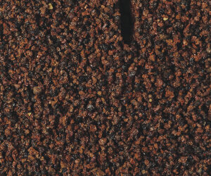 Caribsea Eco-Complete Red Planted Substrate 20lb