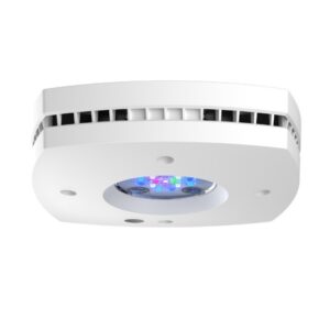 AI White Prime 16HD Reef