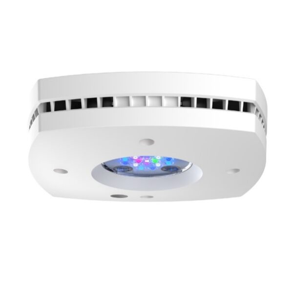 AI White Prime 16HD Reef