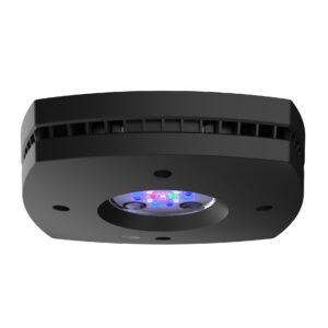 AI Black Prime 16HD Reef