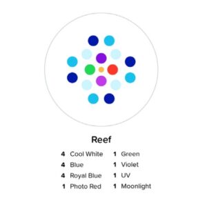 AI Black Prime 16HD Reef - Image 2