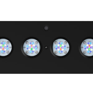 AI Black Hydra 64HD - Image 2