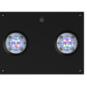AI Black Hydra 32HD - Image 2