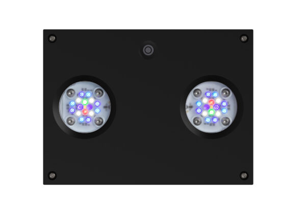 AI Black Hydra 32HD - Image 2