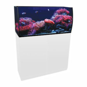 AquaTop Bowfront Arc 30 g Bundled Tank Kit 36"x13"x16"