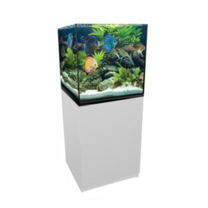 AquaTop Forza 40g Cube Bundled Tank Kit 21"x21"x21"
