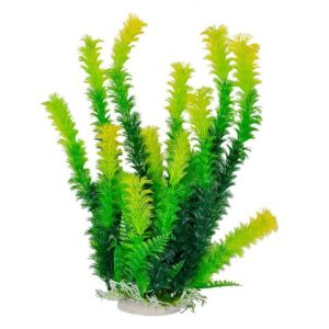 Green Plant, Light Yellow Tips 12" w/weighted base Bag & Header