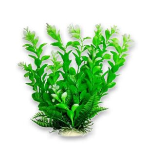 Green Plant, Light White Tips 9" w/weighted base Bag & Header