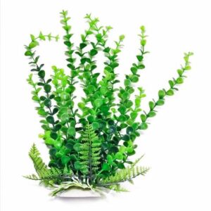 Bacopa-like 12" w/weighted base Bag & Header, Green