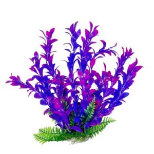 Hygro-like 6" w/weighted base Bag & Header, Pink/Purple