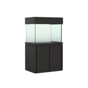36x24 Elegance Black Package