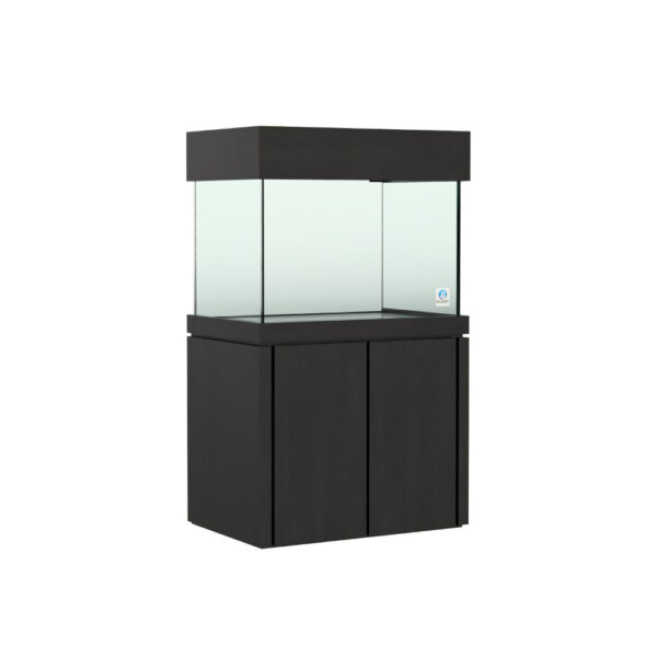 36x24 Elegance Black Package