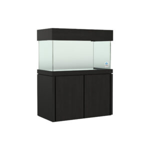 48x24 Elegance Black Package