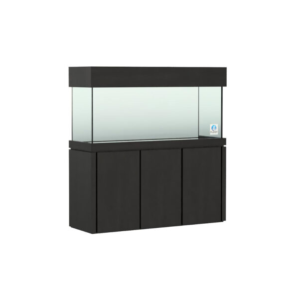 60x18 Elegance Black Package