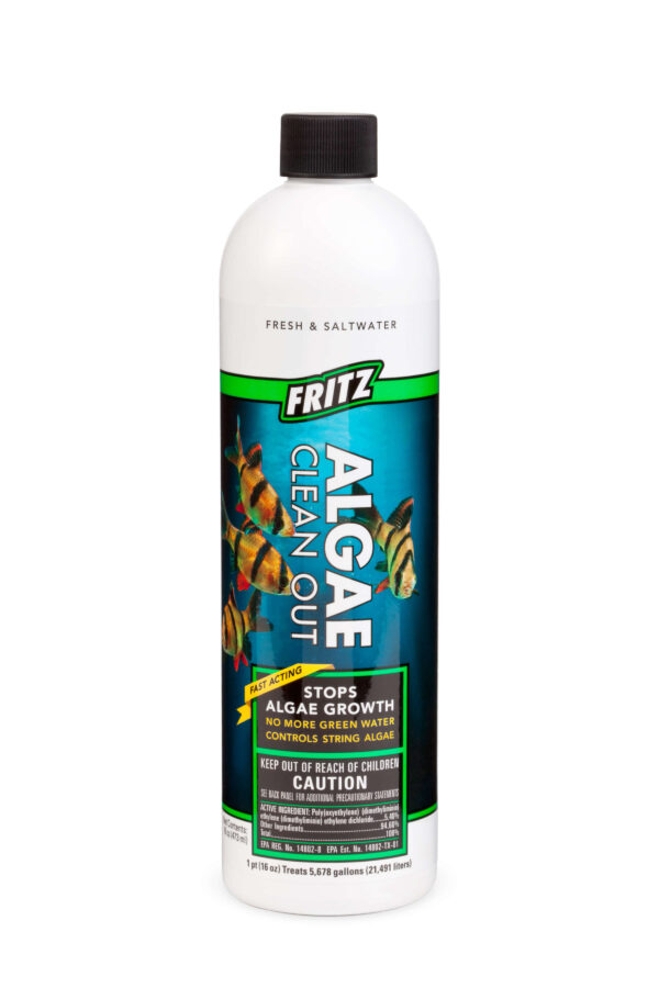 Fritz Algae Clean Out 16oz