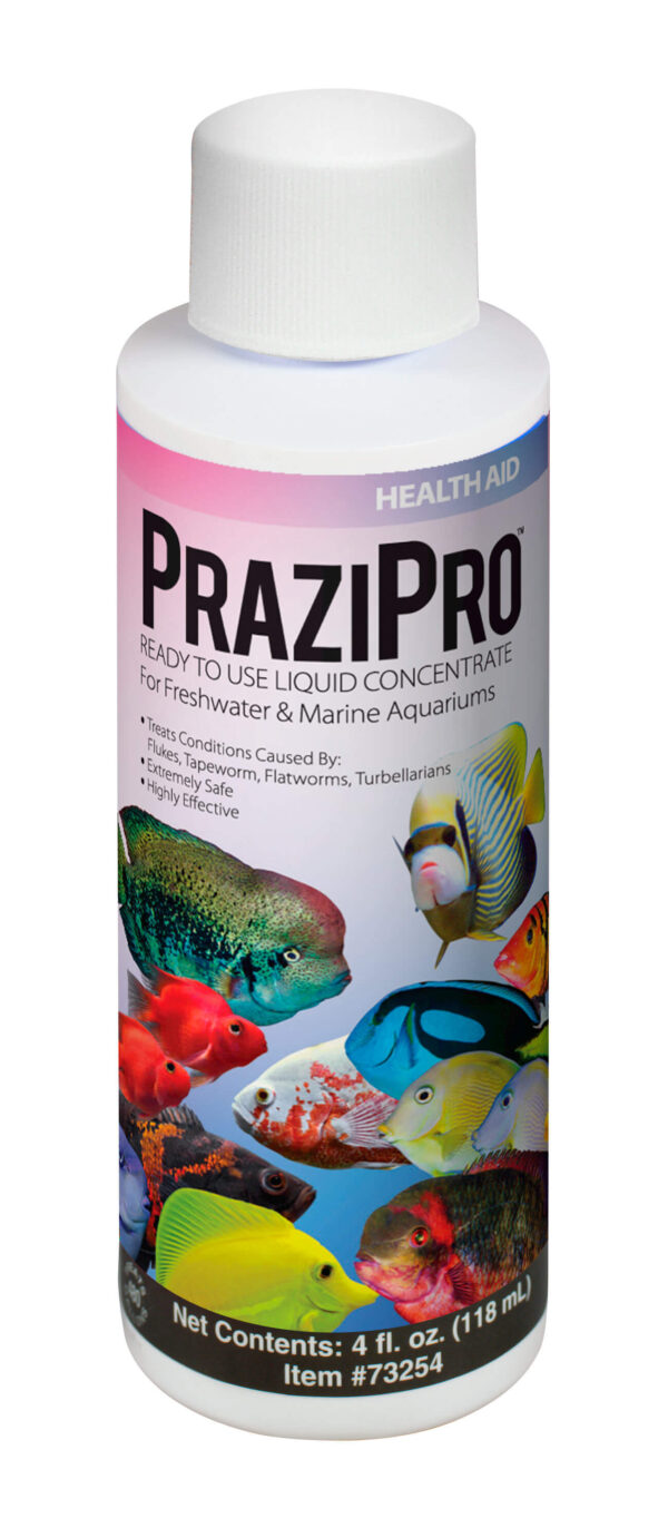 Hikari 4oz Prazipro