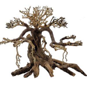 Naturescapes Savanna Bonsai XL