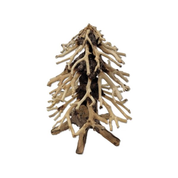 Naturescapes Xmas Tree Bonsai Med