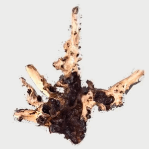 Naturescapes Indo Mopani Wood Med