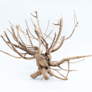 Naturescapes 12"-16" Pine Root Small