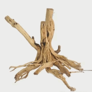 Naturescapes Redmoor Root XL