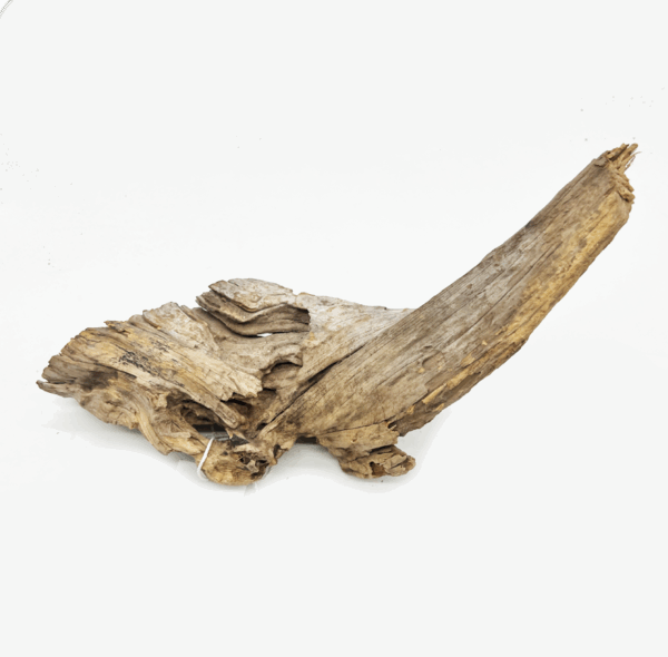 Naturescapes Sumatran Driftwood XL