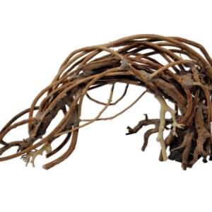 Naturescapes Crescent Bonsai Med